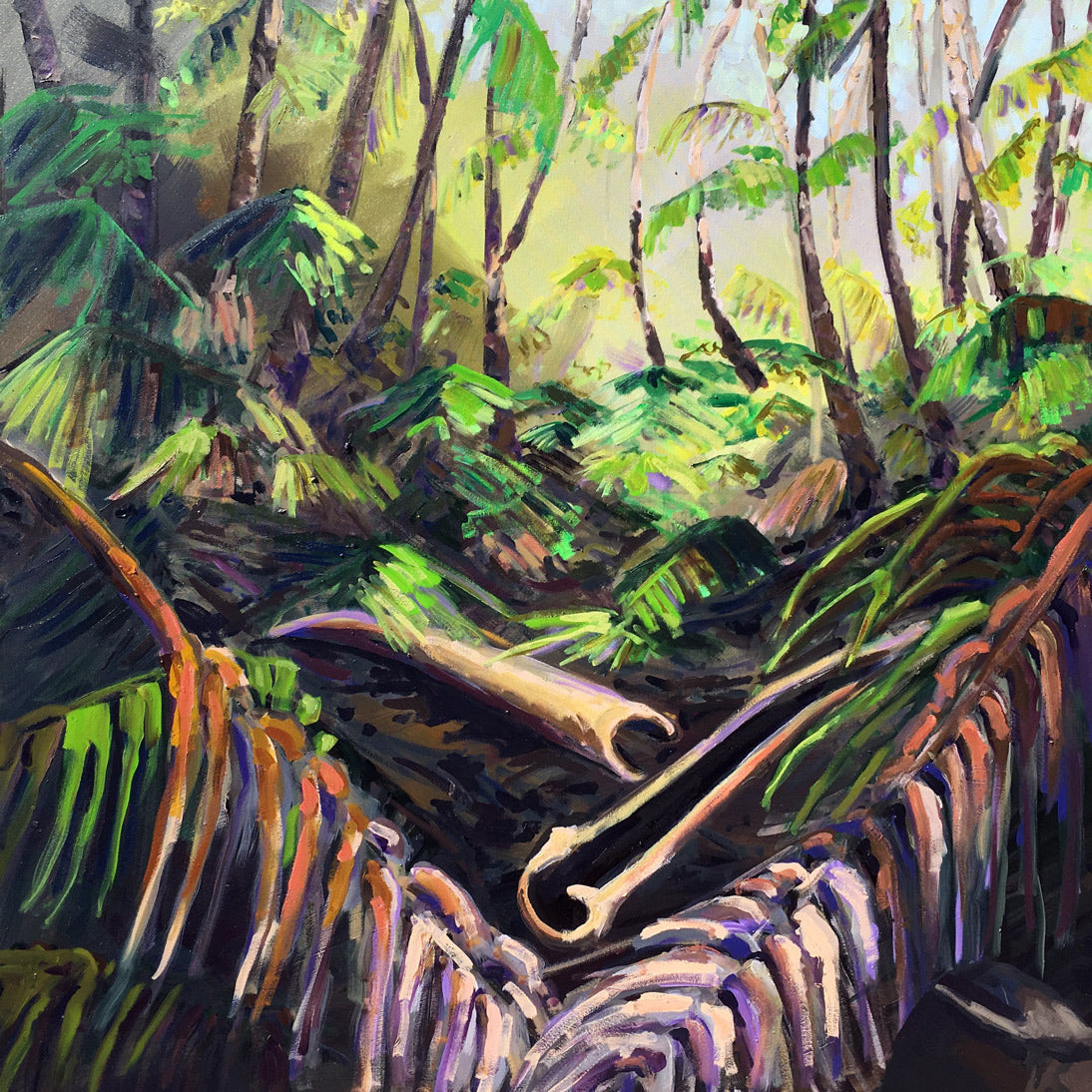 Bosque de la palma