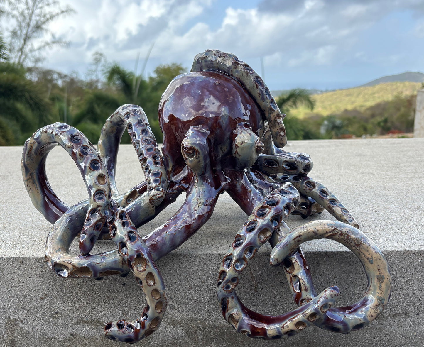 Plum Octopus