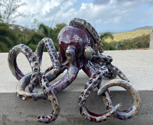 Plum Octopus