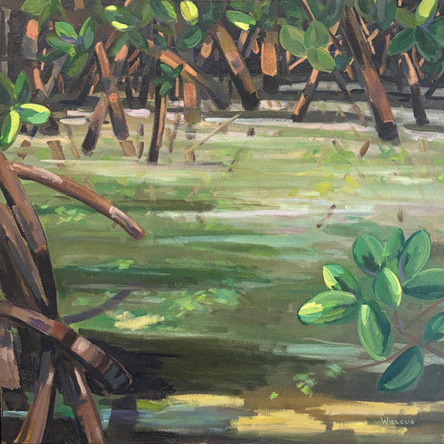 Red Mangrove
